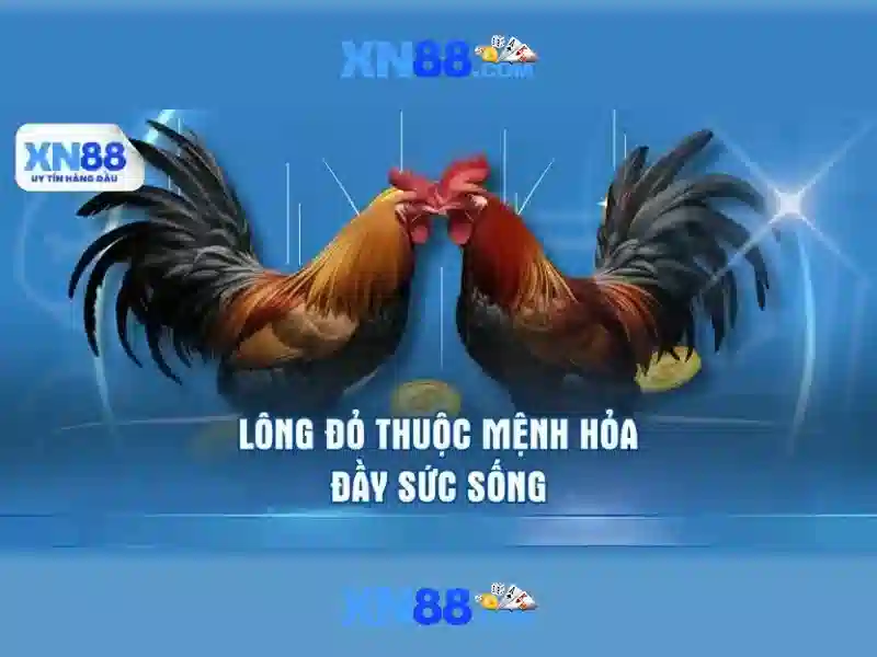 💎keo nha cai 247 com xem bong da💎 💎keo nha cai 247 com xem bong da💎