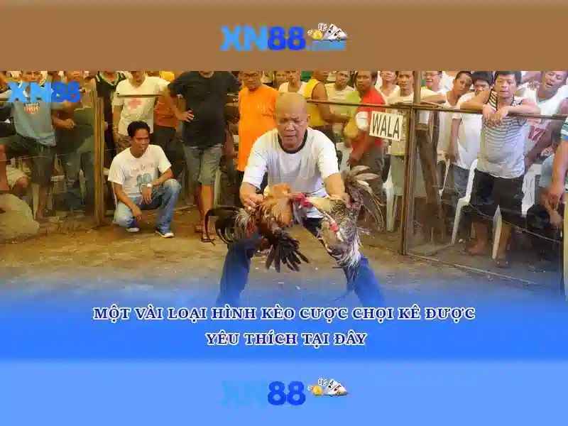 xn88 chính hãng - xn88 xn88 chính hãng - xn88