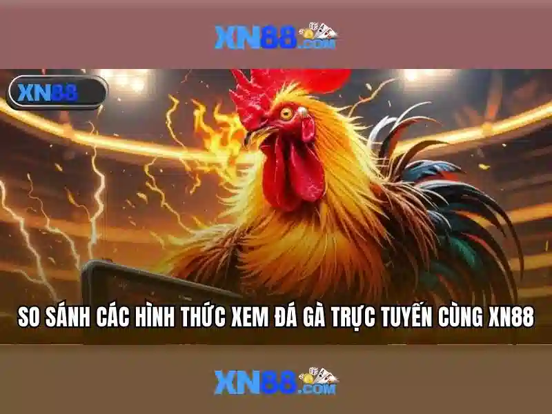 xn88 - Đánh giá nền cược trực tuyến an toàn, hợp pháp và tối ưu xn88 - Đánh giá nền cược trực tuyến an toàn, hợp pháp và tối ưu