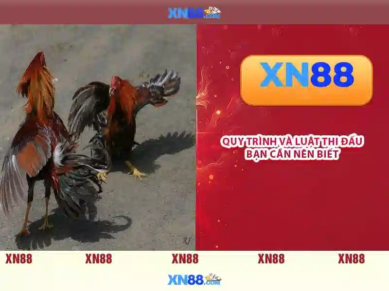 💎sv 388.casino💎 💎sv 388.casino💎