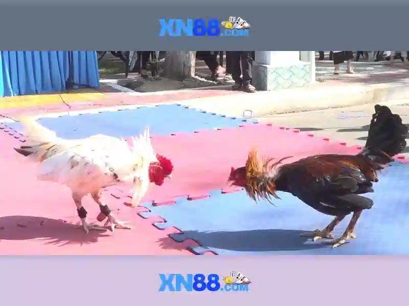 💎lời chúc dành cho các bác sĩ chống dịch💎 💎lời chúc dành cho các bác sĩ chống dịch💎