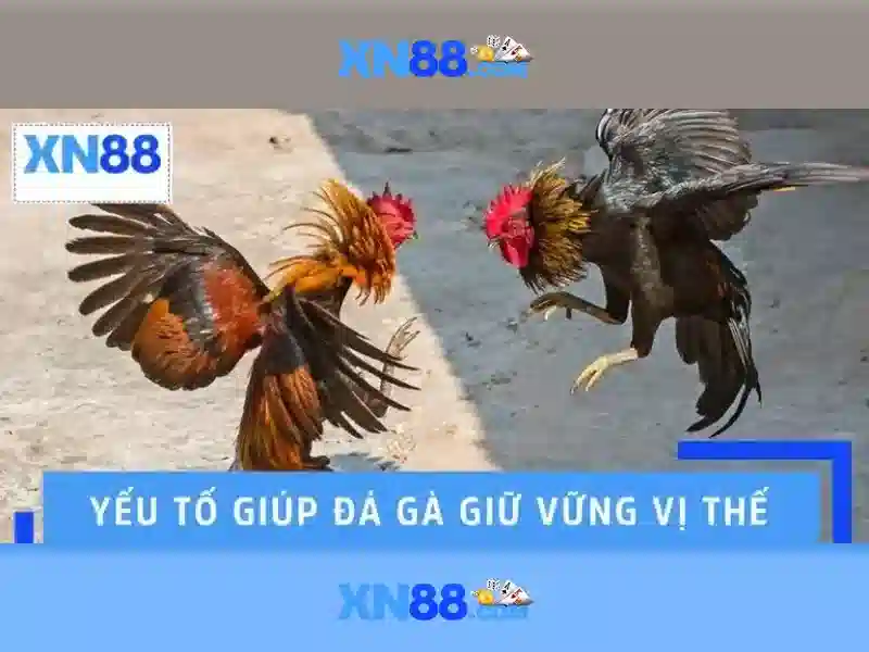 Quy Luật Sicbo Tối Thượng – Khám Phá Chiến Lược XN88 Link Đỉnh Cao - xn88 Quy Luật Sicbo Tối Thượng – Khám Phá Chiến Lược XN88 Link Đỉnh Cao - xn88