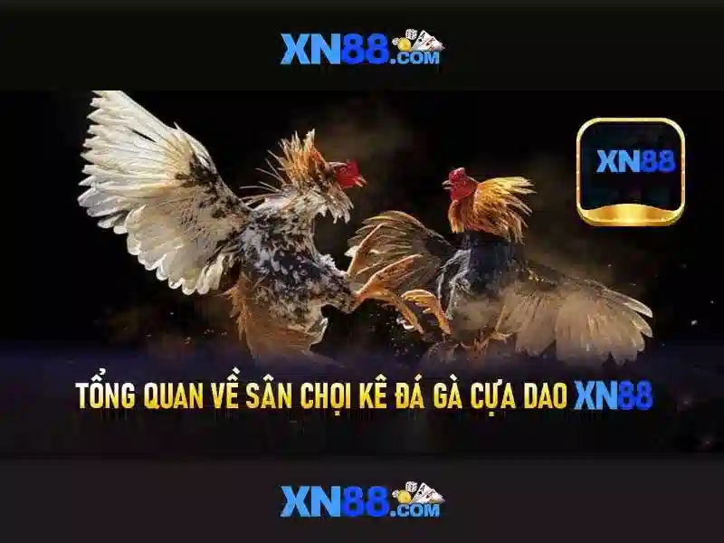 💎nhà cái uy tin 2024💎 💎nhà cái uy tin 2024💎