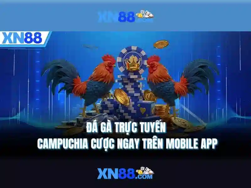 💎cá cược bóng đá sunwin 35💎 💎cá cược bóng đá sunwin 35💎