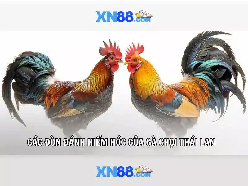 SLOT - xn88 SLOT - xn88