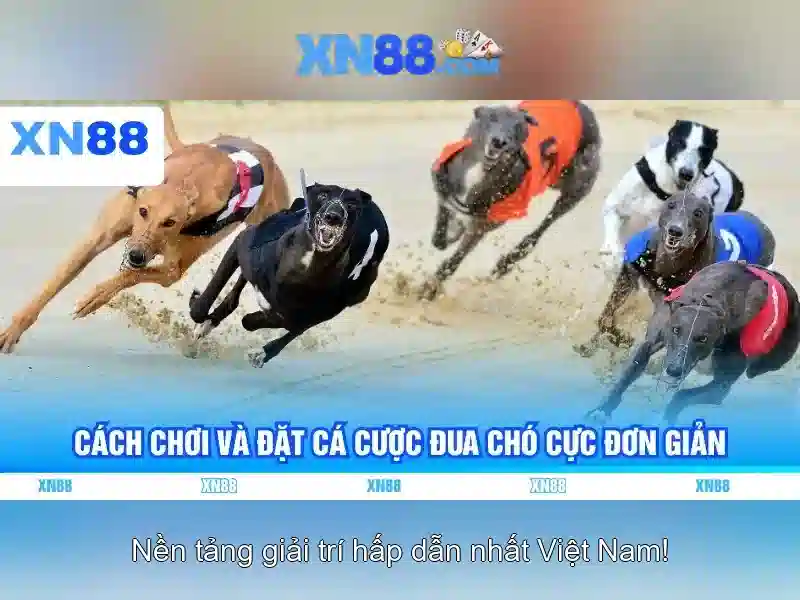 💎link demo slot pragmatic💎 💎link demo slot pragmatic💎