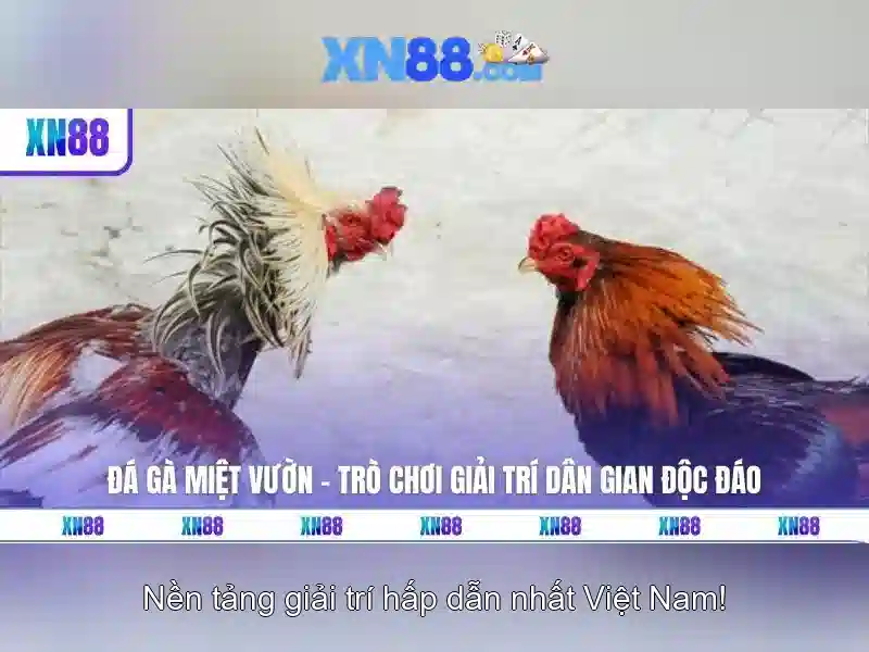 💎mèo cái triệt sản có bỏ nhà đi không💎 💎mèo cái triệt sản có bỏ nhà đi không💎