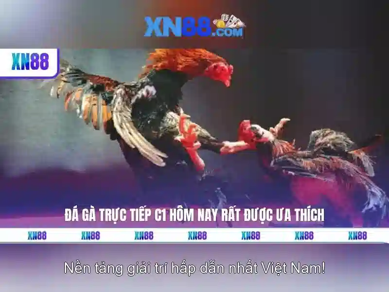 💎casino games free slots live💎 💎casino games free slots live💎