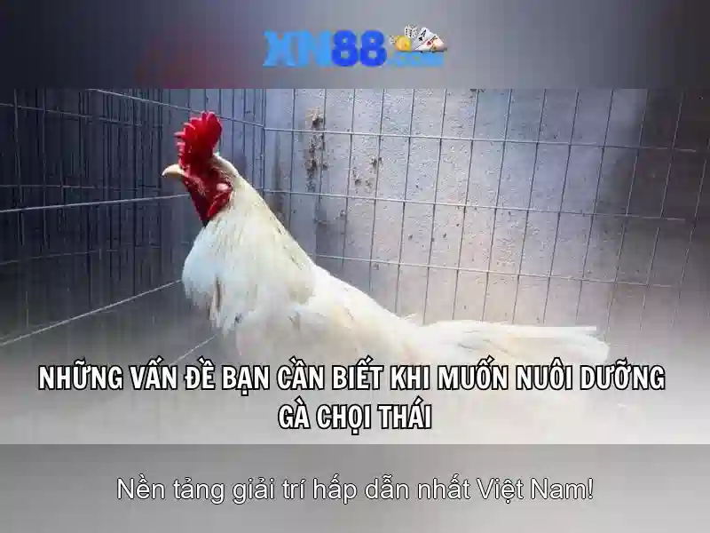 💎twin nhà cái💎 💎twin nhà cái💎