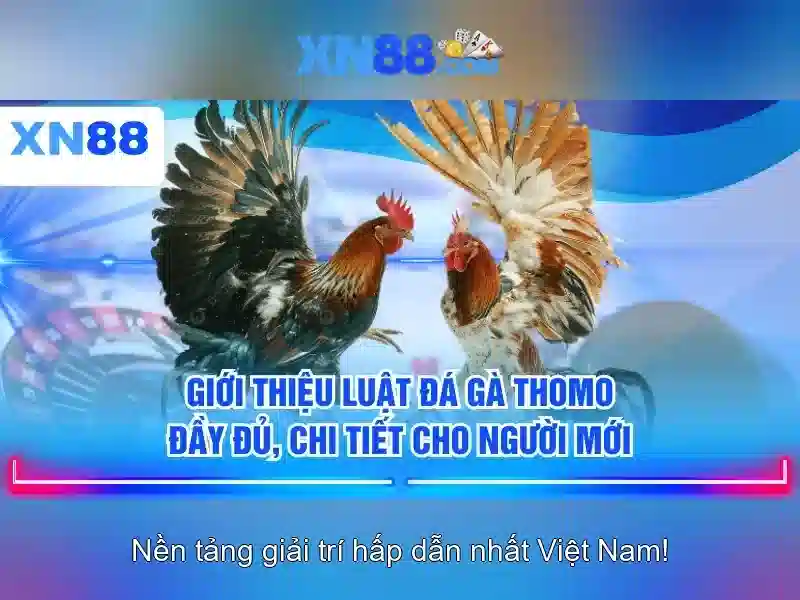 💎vụ đánh bạc bắn chết người💎 💎vụ đánh bạc bắn chết người💎