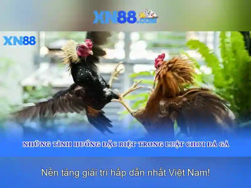 💎khi nói về thứ bậc của các tổ chức sống💎 💎khi nói về thứ bậc của các tổ chức sống💎