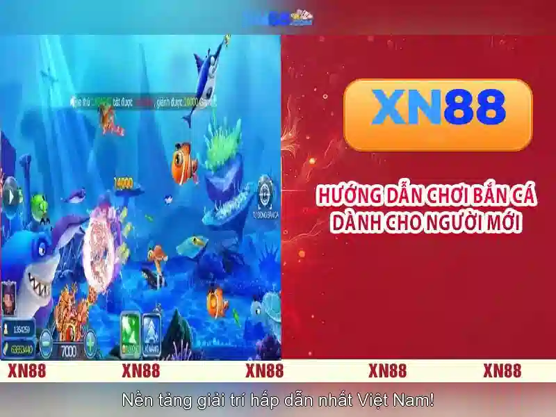 💎khoản 2 tội đánh bạc bao nhiêu năm💎 💎khoản 2 tội đánh bạc bao nhiêu năm💎