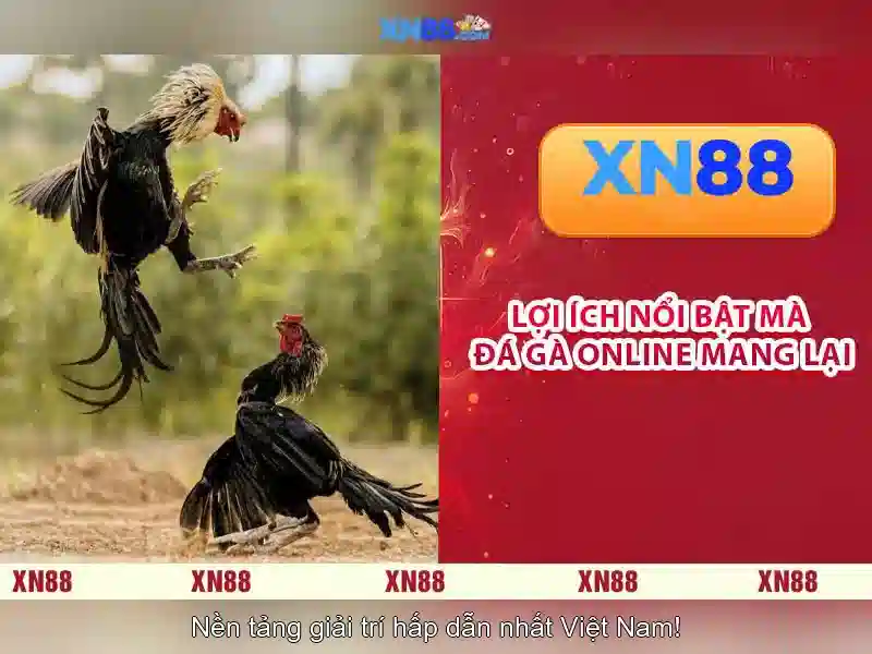 💎top 10 nhà cái uy tín nhất hiện nay guru💎 💎top 10 nhà cái uy tín nhất hiện nay guru💎