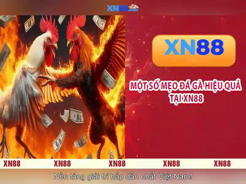 💎sweeps slots online💎 💎sweeps slots online💎