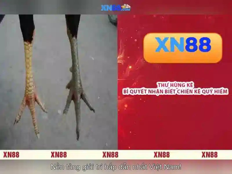 💎slot machine chair💎 💎slot machine chair💎