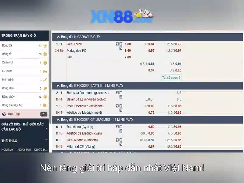 💎ca cuoc ty so💎 💎ca cuoc ty so💎