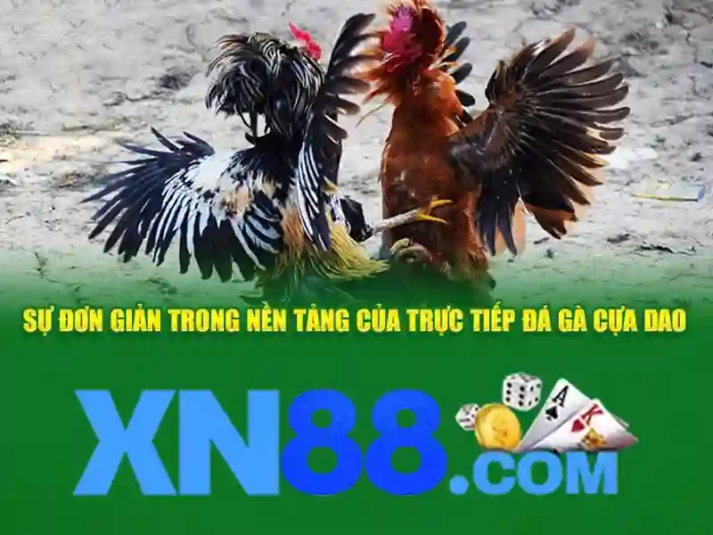 App XN88 Là Gì? Tổng Hợp Thông Tin Về Trò Chơi SLOT - xn88 App XN88 Là Gì? Tổng Hợp Thông Tin Về Trò Chơi SLOT - xn88